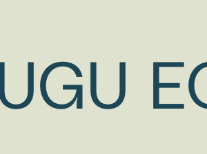Energieoptimierung 'EOS' Artikel-Nr 111027