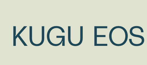 Optimierungsservice 'EOS' Artikel-Nr 111001